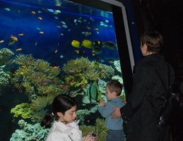 3 avril 2010 - Musée océanographique de Monaco avec Sylke et Lisa